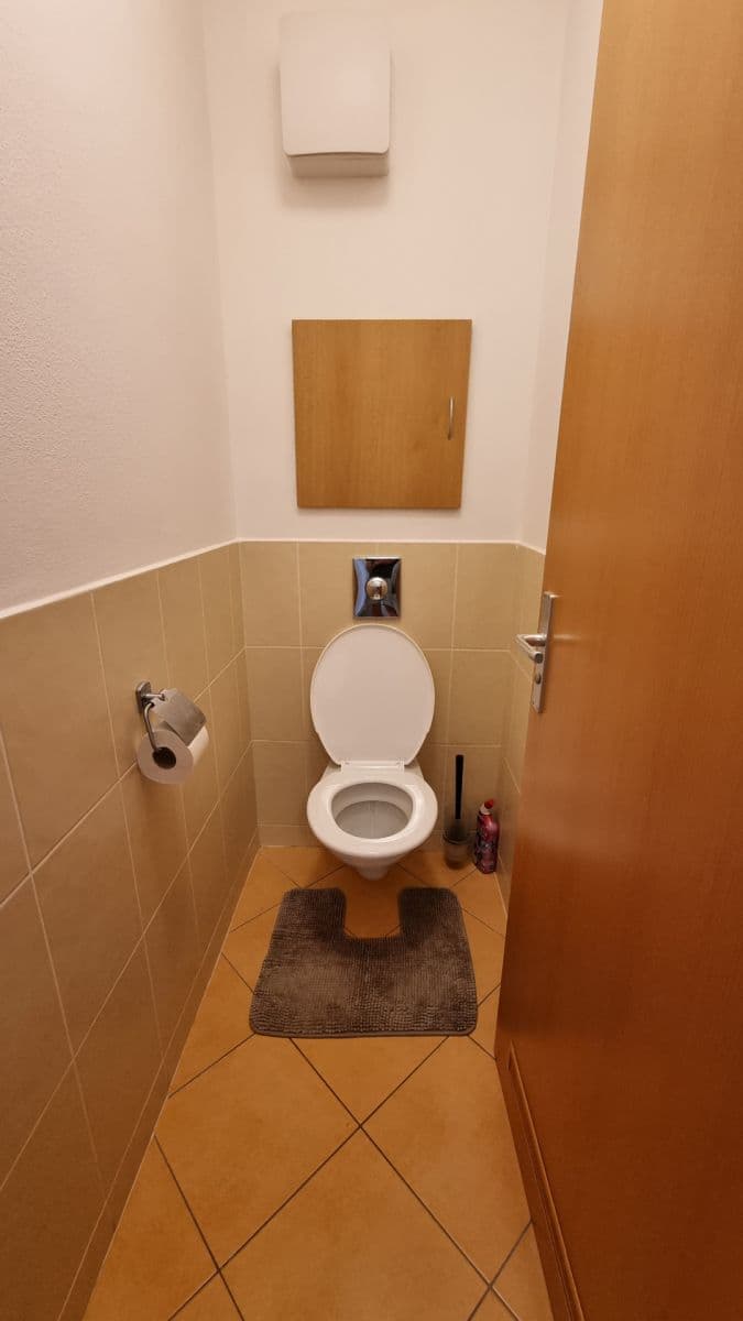 1 bedroom with open-plan kitchen flat to rent, 68 m², Kovanecká, Prague, Prague 1 bedroom with open-plan kitchen flat to rent, 68 m², Kovanecká, Prague, Prague