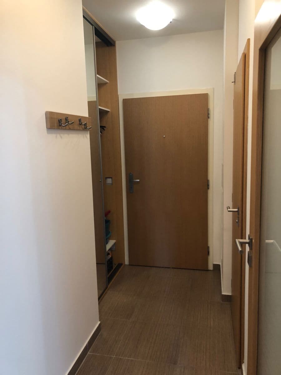 1 bedroom with open-plan kitchen flat to rent, 48 m², Teplická, Prague, Prague 1 bedroom with open-plan kitchen flat to rent, 48 m², Teplická, Prague, Prague