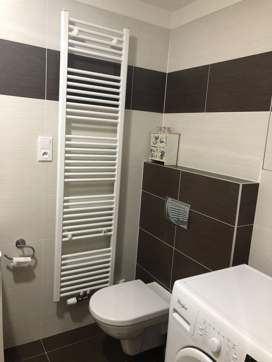 1 bedroom with open-plan kitchen flat to rent, 48 m², Teplická, Prague, Prague 1 bedroom with open-plan kitchen flat to rent, 48 m², Teplická, Prague, Prague