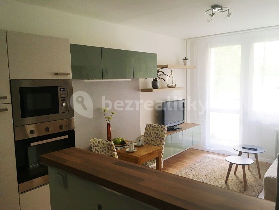 1 bedroom with open-plan kitchen flat to rent, 41 m², Hurbanova, Prague, Prague 1 bedroom with open-plan kitchen flat to rent, 41 m², Hurbanova, Prague, Prague