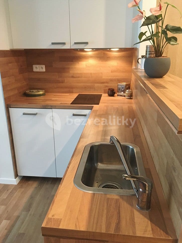 1 bedroom with open-plan kitchen flat to rent, 41 m², Hurbanova, Prague, Prague 1 bedroom with open-plan kitchen flat to rent, 41 m², Hurbanova, Prague, Prague