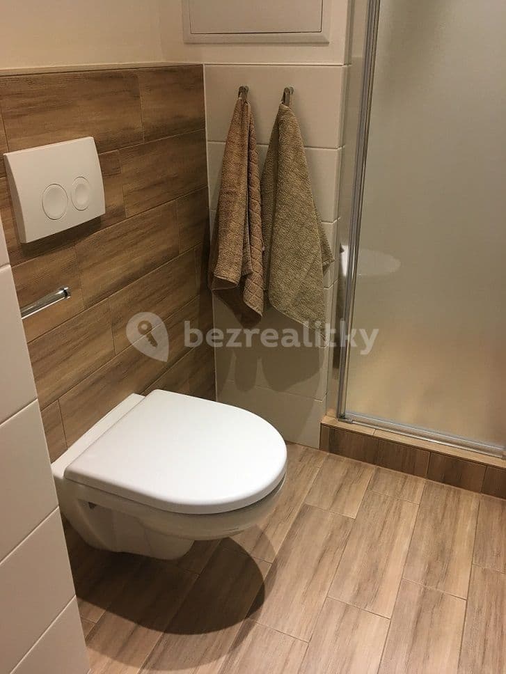 1 bedroom with open-plan kitchen flat to rent, 41 m², Hurbanova, Prague, Prague 1 bedroom with open-plan kitchen flat to rent, 41 m², Hurbanova, Prague, Prague