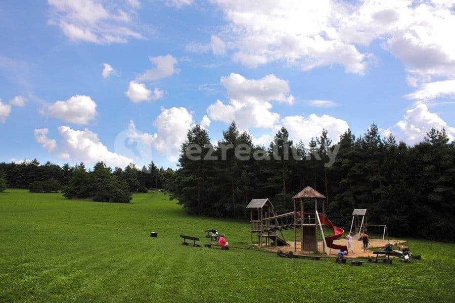 1 bedroom with open-plan kitchen flat to rent, 55 m², Nad Přehradou, Prague, Prague 1 bedroom with open-plan kitchen flat to rent, 55 m², Nad Přehradou, Prague, Prague