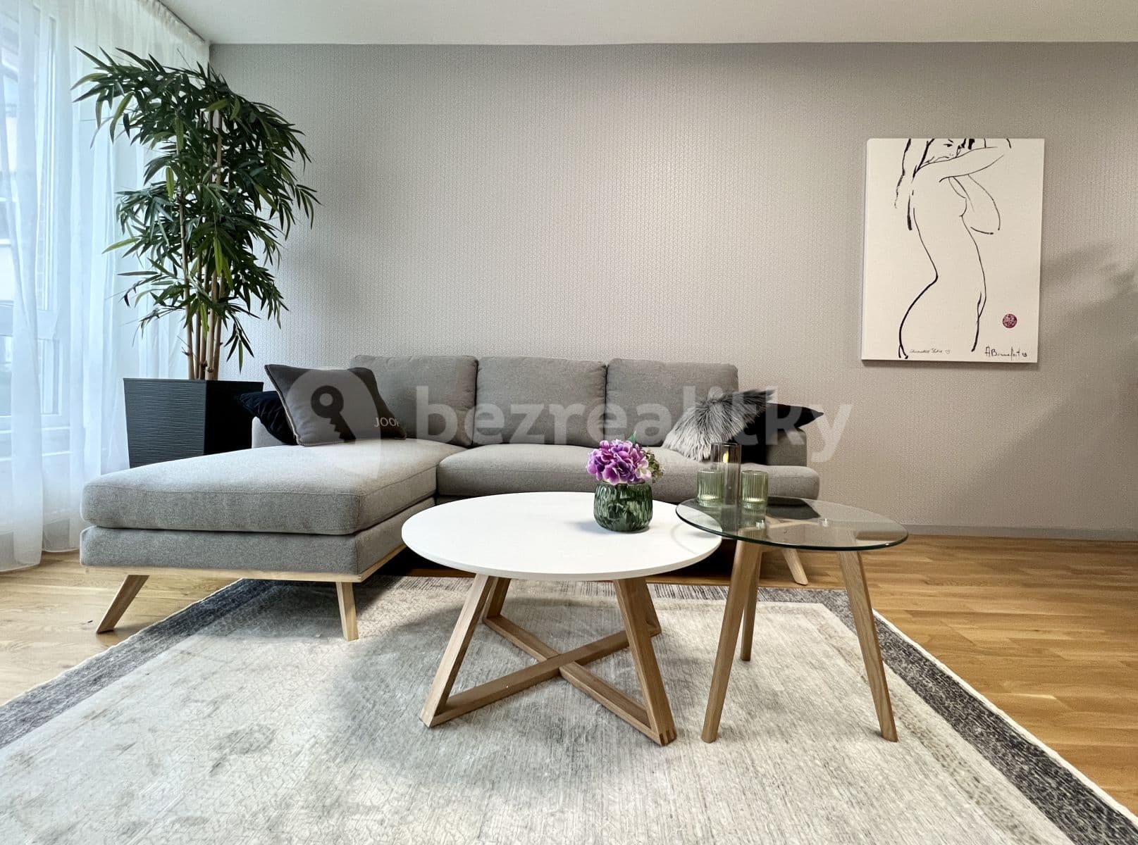 1 bedroom with open-plan kitchen flat to rent, 55 m², Voskovcova, Prague, Prague 1 bedroom with open-plan kitchen flat to rent, 55 m², Voskovcova, Prague, Prague