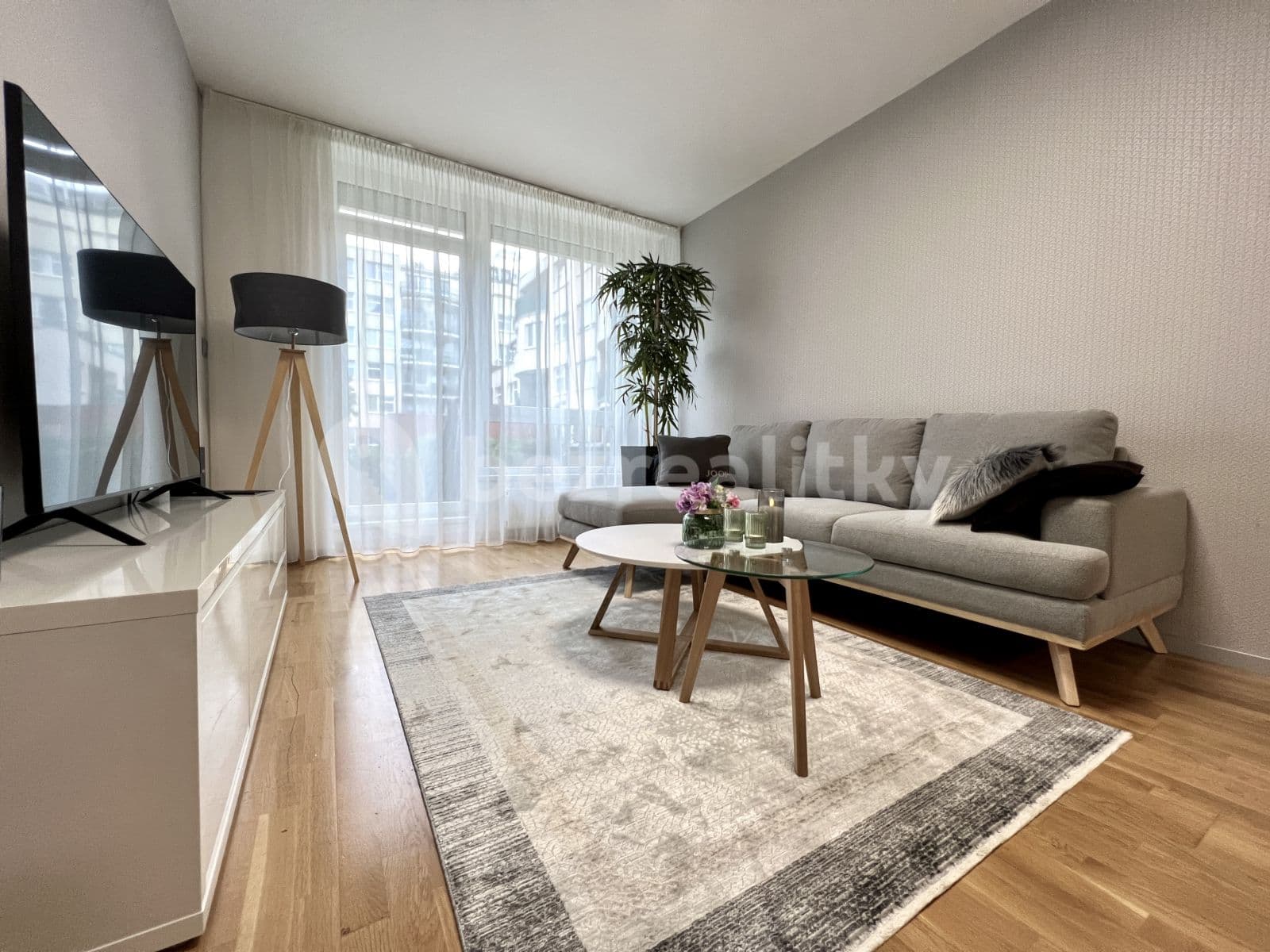 1 bedroom with open-plan kitchen flat to rent, 55 m², Voskovcova, Prague, Prague 1 bedroom with open-plan kitchen flat to rent, 55 m², Voskovcova, Prague, Prague