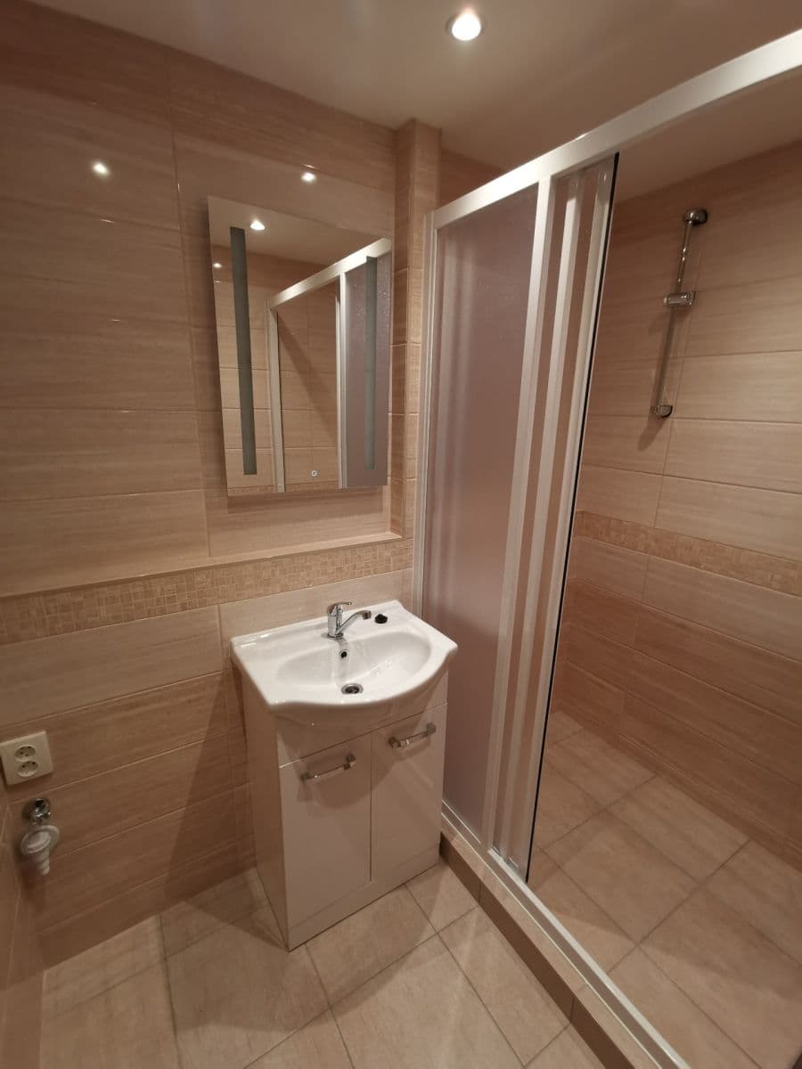 1 bedroom with open-plan kitchen flat to rent, 43 m², Pavlíkova, Prague, Prague 1 bedroom with open-plan kitchen flat to rent, 43 m², Pavlíkova, Prague, Prague