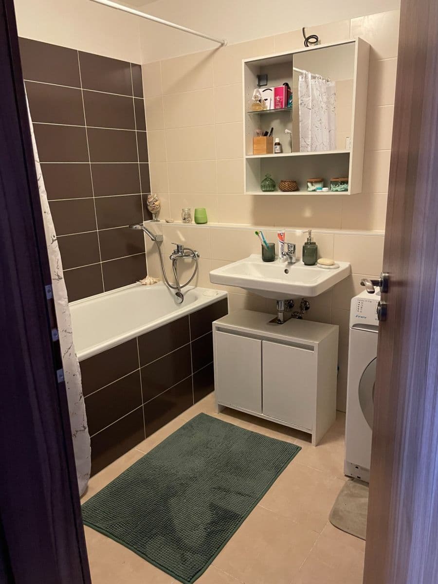 1 bedroom with open-plan kitchen flat to rent, 57 m², Hálův statek, Prague, Prague 1 bedroom with open-plan kitchen flat to rent, 57 m², Hálův statek, Prague, Prague