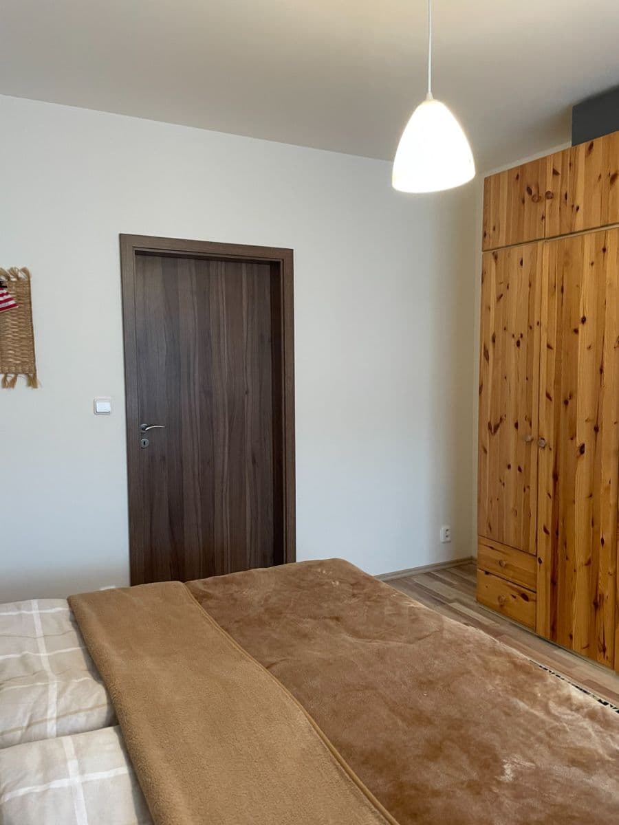 1 bedroom with open-plan kitchen flat to rent, 57 m², Hálův statek, Prague, Prague 1 bedroom with open-plan kitchen flat to rent, 57 m², Hálův statek, Prague, Prague