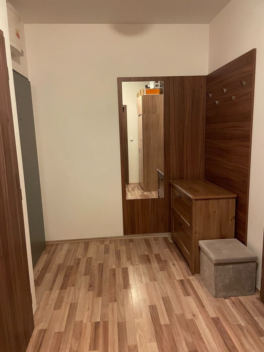 1 bedroom with open-plan kitchen flat to rent, 57 m², Hálův statek, Prague, Prague 1 bedroom with open-plan kitchen flat to rent, 57 m², Hálův statek, Prague, Prague