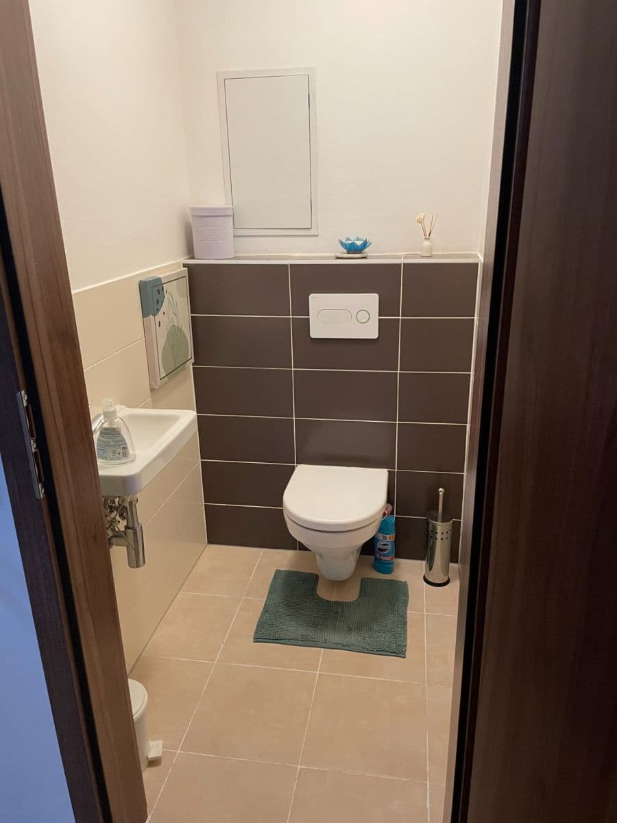 1 bedroom with open-plan kitchen flat to rent, 57 m², Hálův statek, Prague, Prague 1 bedroom with open-plan kitchen flat to rent, 57 m², Hálův statek, Prague, Prague