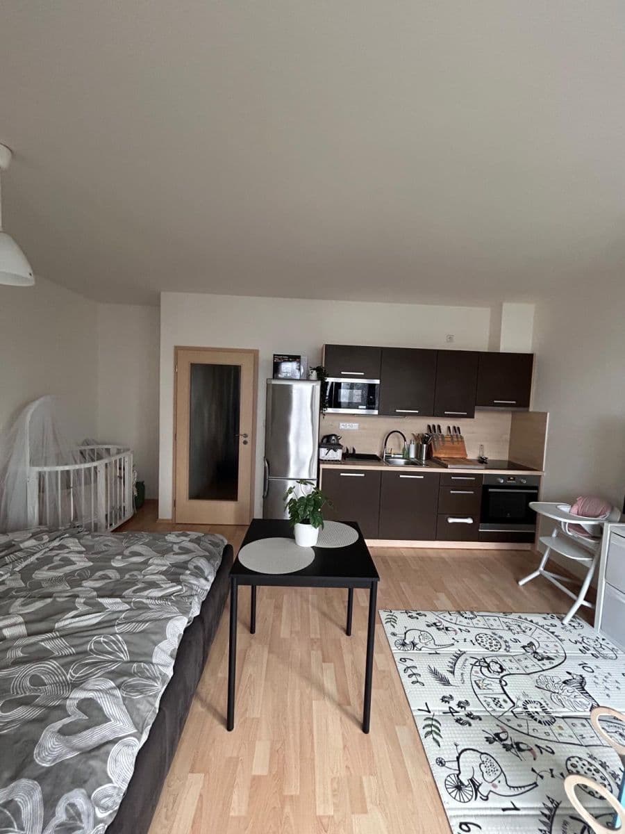 Studio flat to rent, 37 m², Hálův statek, Prague, Prague Studio flat to rent, 37 m², Hálův statek, Prague, Prague