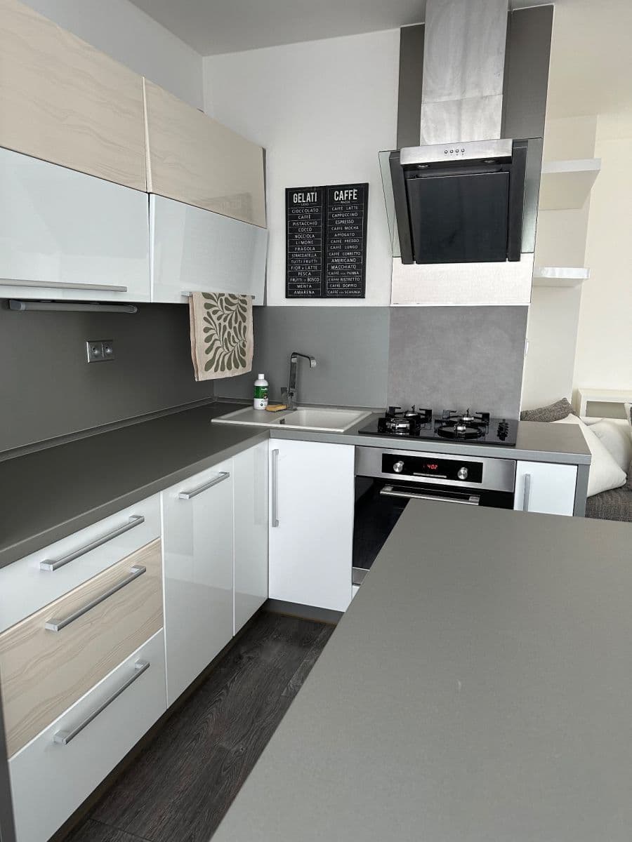 1 bedroom with open-plan kitchen flat to rent, 59 m², Čs. armády, Kladno, Středočeský Region 1 bedroom with open-plan kitchen flat to rent, 59 m², Čs. armády, Kladno, Středočeský Region