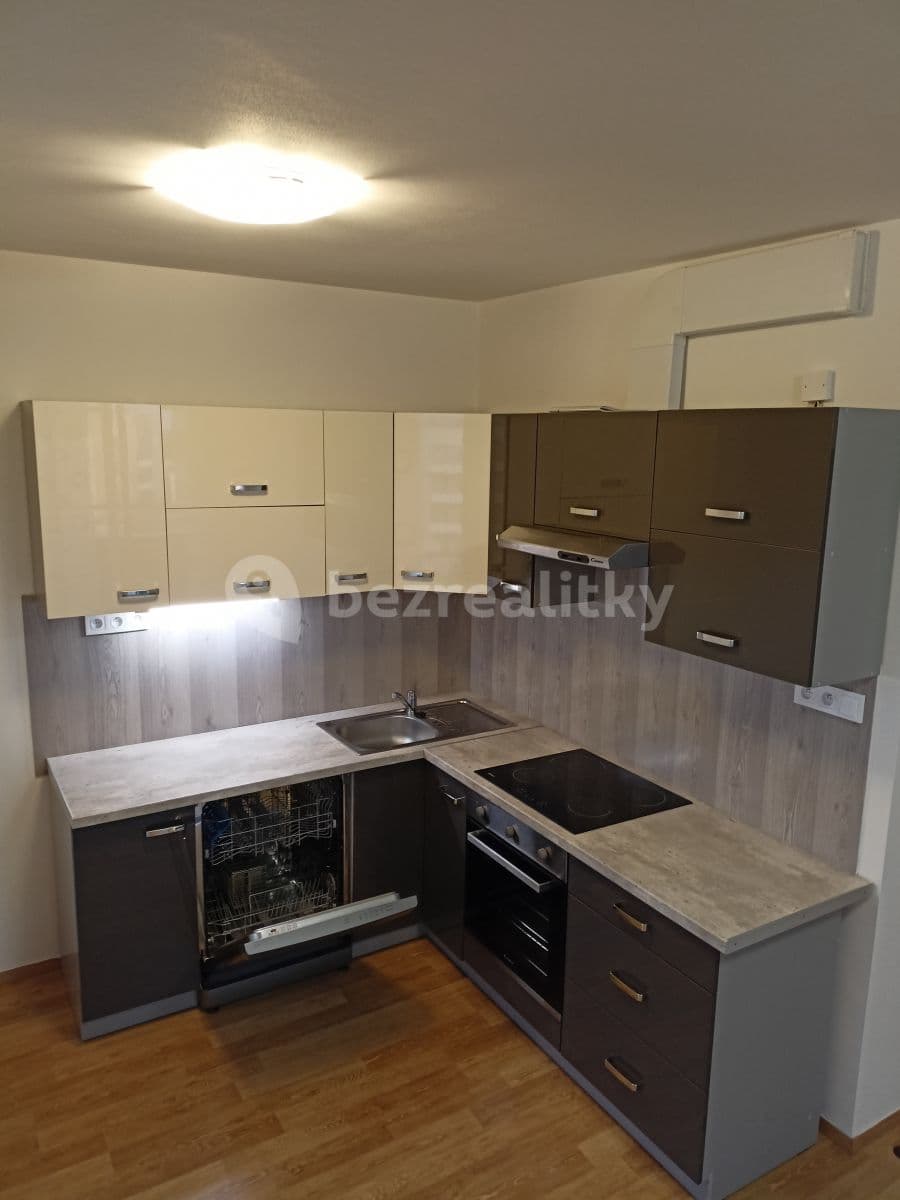 1 bedroom with open-plan kitchen flat to rent, 62 m², Hlučkova, Prague, Prague 1 bedroom with open-plan kitchen flat to rent, 62 m², Hlučkova, Prague, Prague