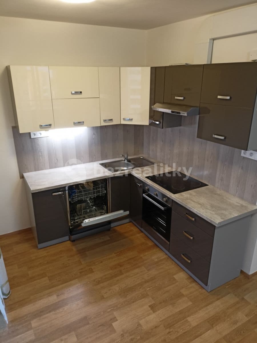 1 bedroom with open-plan kitchen flat to rent, 62 m², Hlučkova, Prague, Prague 1 bedroom with open-plan kitchen flat to rent, 62 m², Hlučkova, Prague, Prague