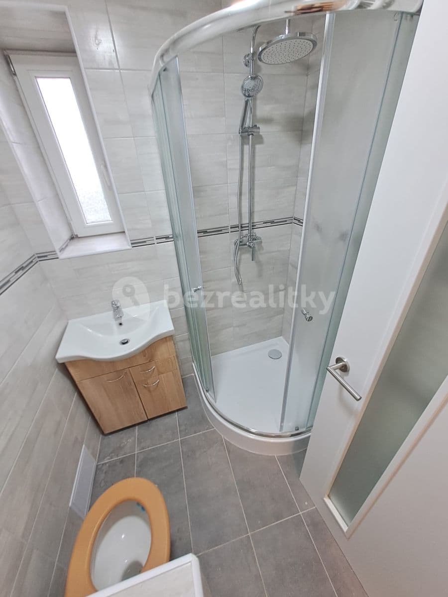 1 bedroom with open-plan kitchen flat to rent, 42 m², Heydukova, Prague, Prague 1 bedroom with open-plan kitchen flat to rent, 42 m², Heydukova, Prague, Prague