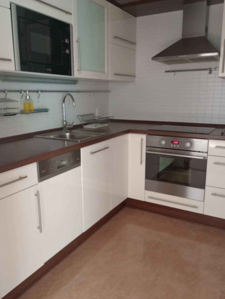 1 bedroom with open-plan kitchen flat to rent, 45 m², Volutová, Prague, Prague 1 bedroom with open-plan kitchen flat to rent, 45 m², Volutová, Prague, Prague