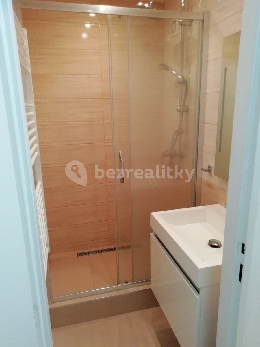 1 bedroom with open-plan kitchen flat to rent, 40 m², Šluknovská, Prague, Prague 1 bedroom with open-plan kitchen flat to rent, 40 m², Šluknovská, Prague, Prague