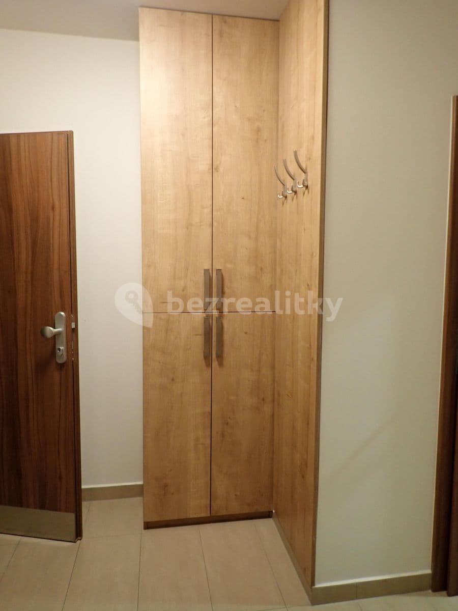 1 bedroom with open-plan kitchen flat to rent, 70 m², Brožíkova, Prague, Prague 1 bedroom with open-plan kitchen flat to rent, 70 m², Brožíkova, Prague, Prague