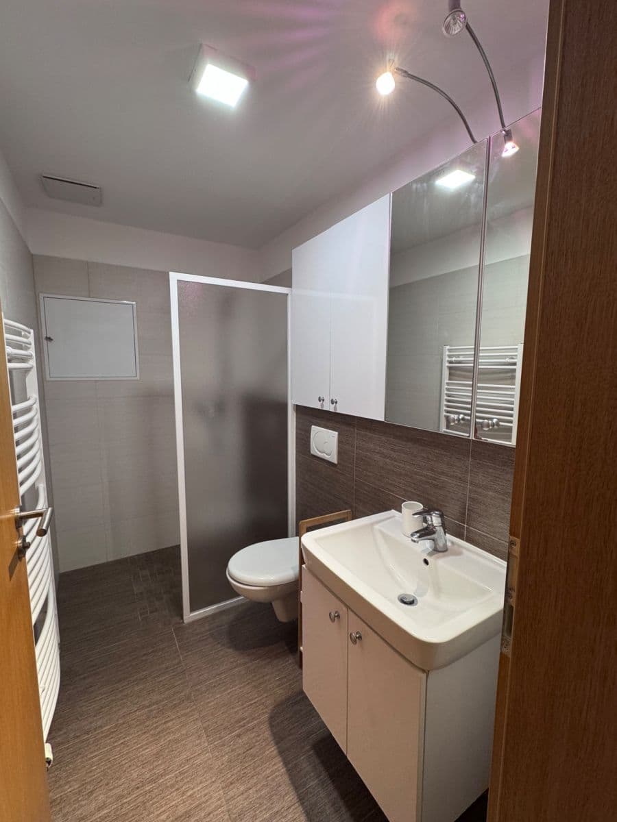 Studio flat to rent, 38 m², Vinohrady, Brno, Jihomoravský Region Studio flat to rent, 38 m², Vinohrady, Brno, Jihomoravský Region