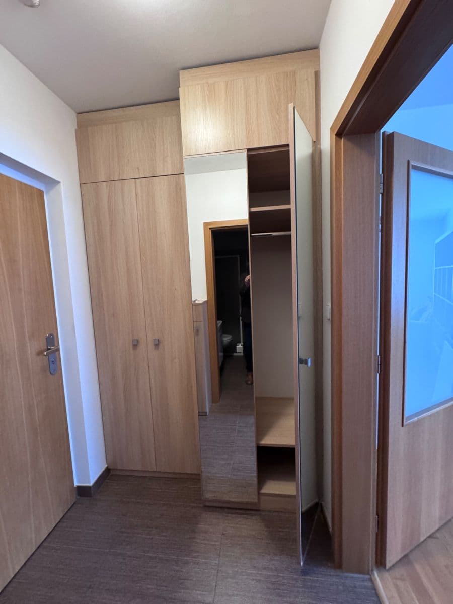 Studio flat to rent, 38 m², Vinohrady, Brno, Jihomoravský Region Studio flat to rent, 38 m², Vinohrady, Brno, Jihomoravský Region