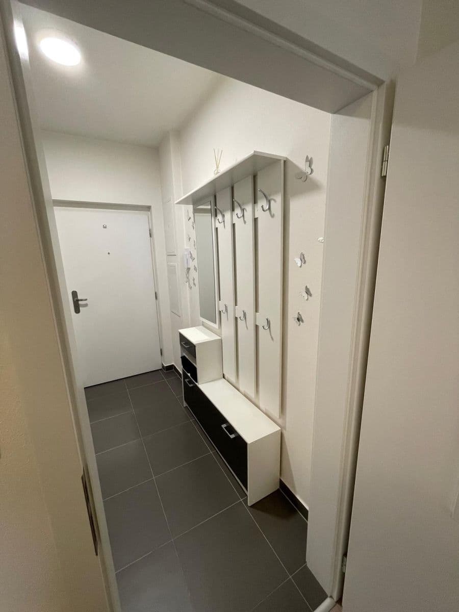 Studio flat to rent, 28 m², Technická, Plzeň, Plzeňský Region Studio flat to rent, 28 m², Technická, Plzeň, Plzeňský Region