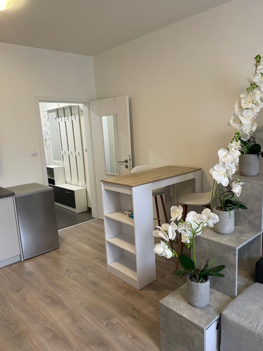 Studio flat to rent, 28 m², Technická, Plzeň, Plzeňský Region Studio flat to rent, 28 m², Technická, Plzeň, Plzeňský Region