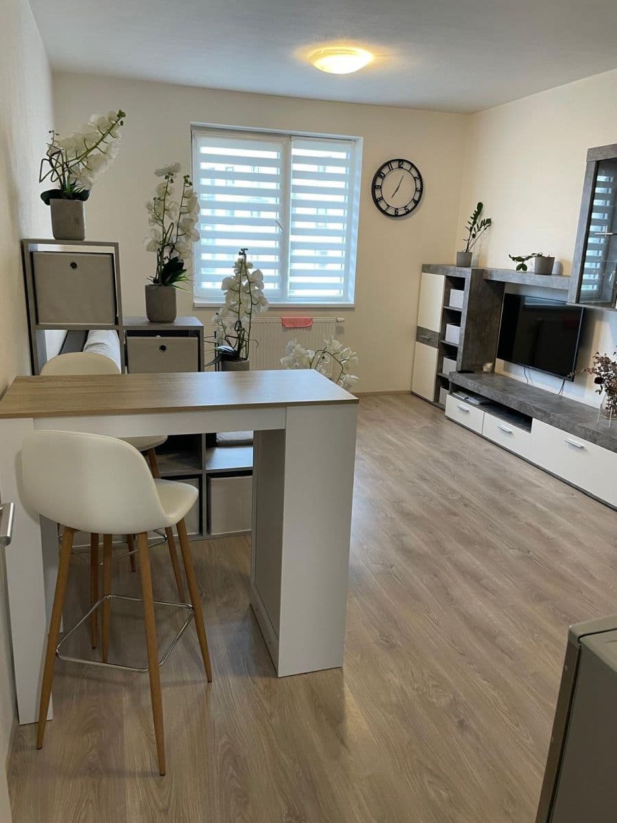 Studio flat to rent, 28 m², Technická, Plzeň, Plzeňský Region Studio flat to rent, 28 m², Technická, Plzeň, Plzeňský Region