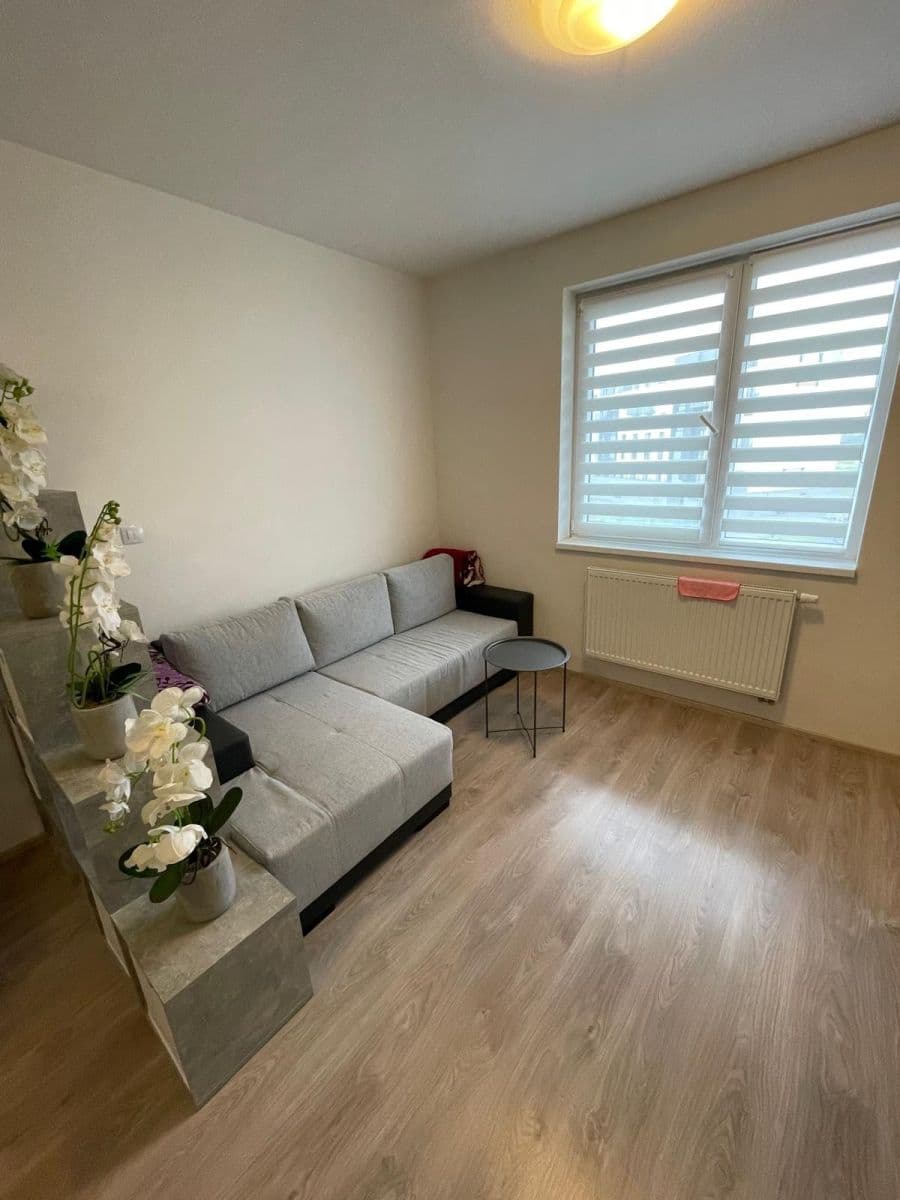 Studio flat to rent, 28 m², Technická, Plzeň, Plzeňský Region Studio flat to rent, 28 m², Technická, Plzeň, Plzeňský Region