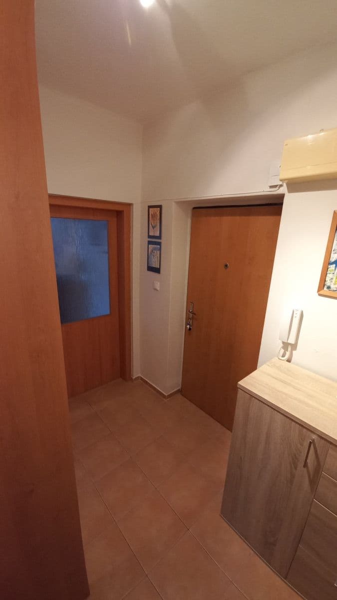 1 bedroom with open-plan kitchen flat for sale, 47 m², Spojařů, Prague, Prague 1 bedroom with open-plan kitchen flat for sale, 47 m², Spojařů, Prague, Prague