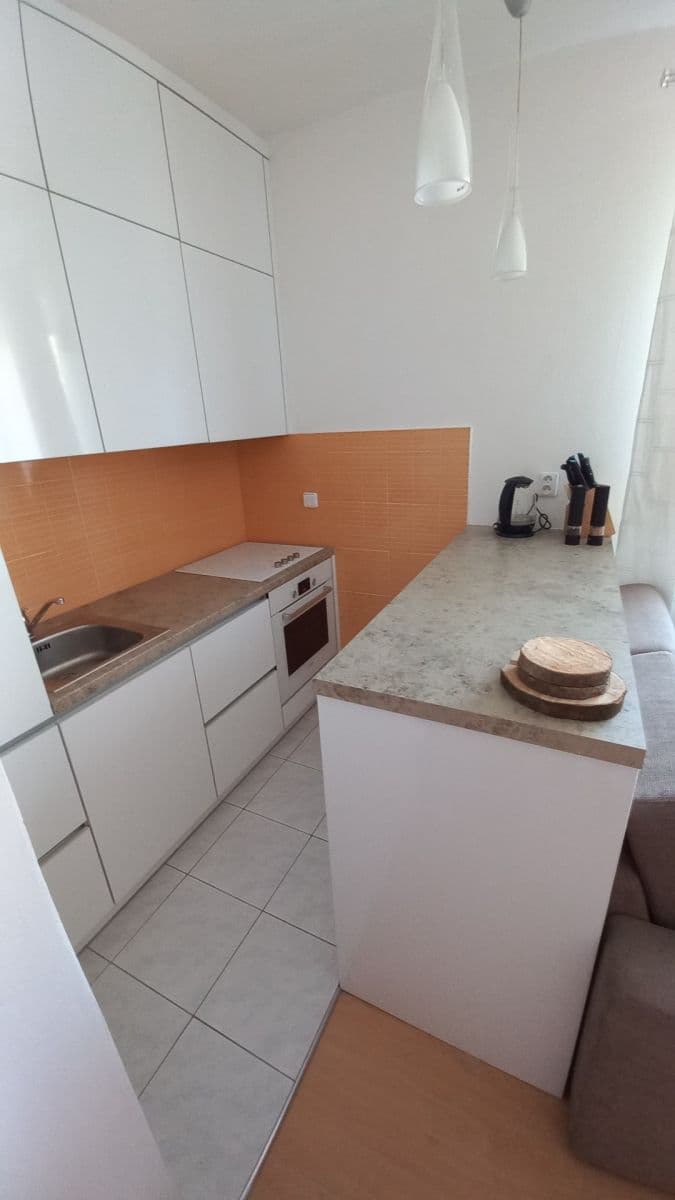 1 bedroom with open-plan kitchen flat for sale, 47 m², Spojařů, Prague, Prague 1 bedroom with open-plan kitchen flat for sale, 47 m², Spojařů, Prague, Prague