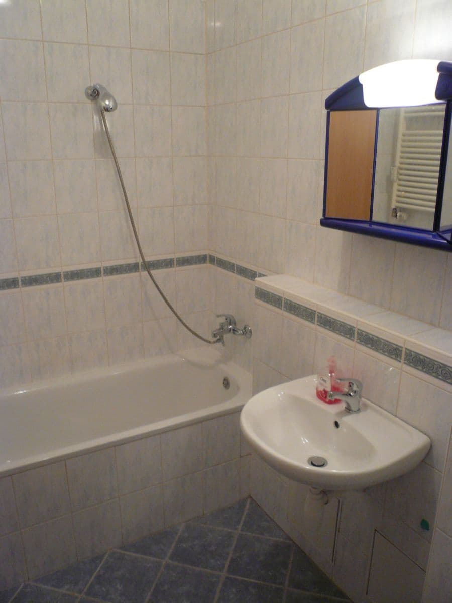 1 bedroom with open-plan kitchen flat to rent, 52 m², Voskovcova, Prague, Prague 1 bedroom with open-plan kitchen flat to rent, 52 m², Voskovcova, Prague, Prague