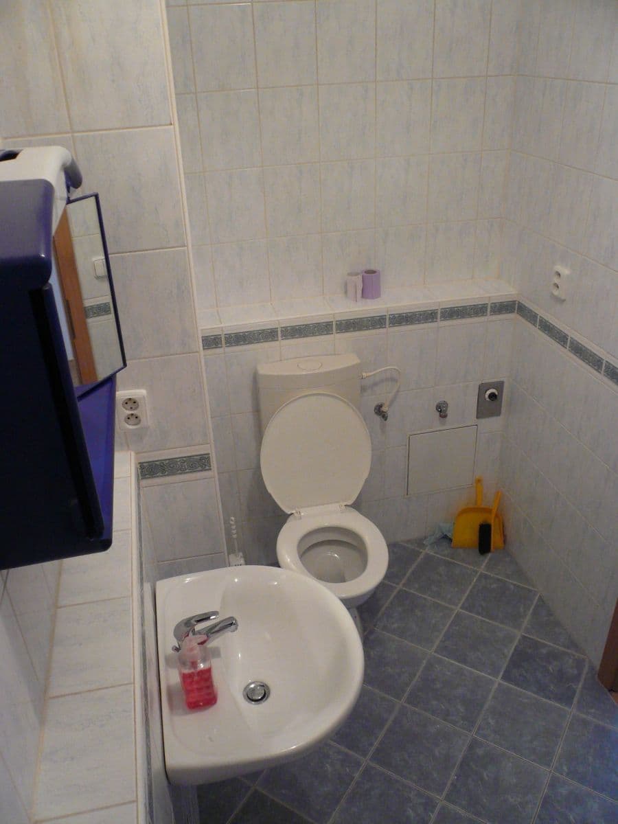 1 bedroom with open-plan kitchen flat to rent, 52 m², Voskovcova, Prague, Prague 1 bedroom with open-plan kitchen flat to rent, 52 m², Voskovcova, Prague, Prague