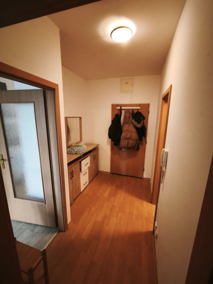 1 bedroom with open-plan kitchen flat to rent, 52 m², Voskovcova, Prague, Prague 1 bedroom with open-plan kitchen flat to rent, 52 m², Voskovcova, Prague, Prague