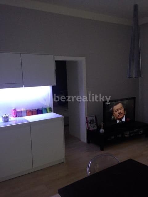 1 bedroom with open-plan kitchen flat to rent, 50 m², Táboritská, Prague, Prague 1 bedroom with open-plan kitchen flat to rent, 50 m², Táboritská, Prague, Prague