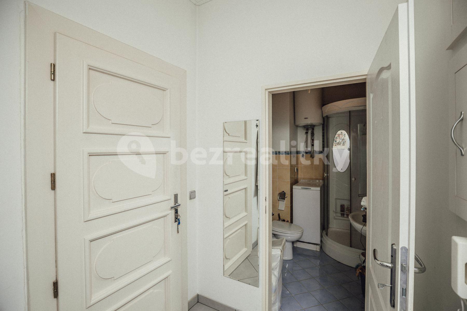 1 bedroom with open-plan kitchen flat to rent, 55 m², Ladova, Prague, Prague
