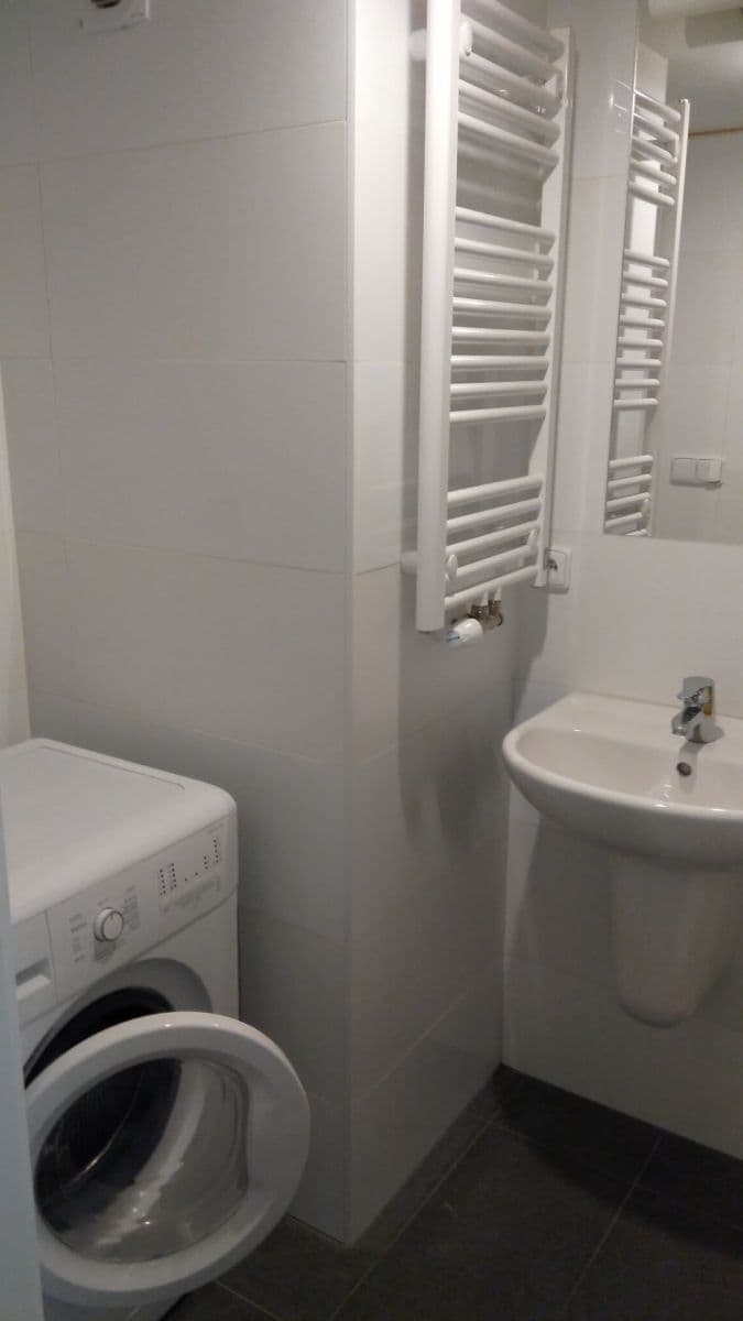 1 bedroom with open-plan kitchen flat to rent, 64 m², Řehořova, Prague, Prague 1 bedroom with open-plan kitchen flat to rent, 64 m², Řehořova, Prague, Prague