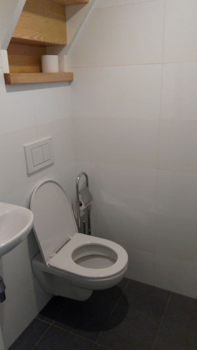 1 bedroom with open-plan kitchen flat to rent, 64 m², Řehořova, Prague, Prague 1 bedroom with open-plan kitchen flat to rent, 64 m², Řehořova, Prague, Prague