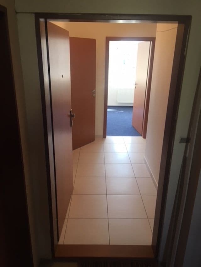 1 bedroom with open-plan kitchen flat to rent, 41 m², Bořivojova, Prague, Prague 1 bedroom with open-plan kitchen flat to rent, 41 m², Bořivojova, Prague, Prague