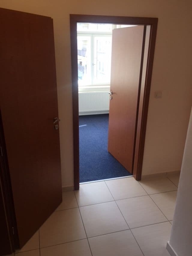1 bedroom with open-plan kitchen flat to rent, 41 m², Bořivojova, Prague, Prague 1 bedroom with open-plan kitchen flat to rent, 41 m², Bořivojova, Prague, Prague