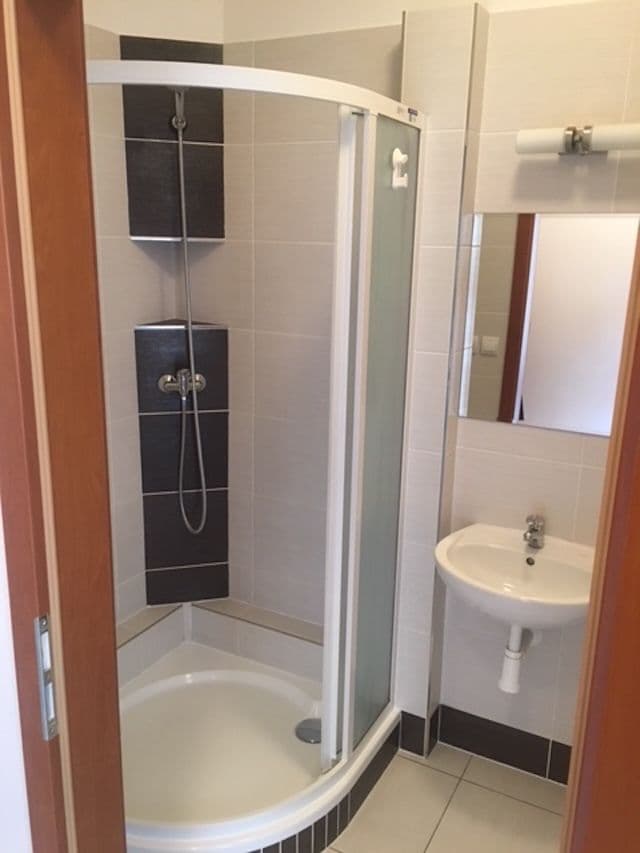 1 bedroom with open-plan kitchen flat to rent, 41 m², Bořivojova, Prague, Prague 1 bedroom with open-plan kitchen flat to rent, 41 m², Bořivojova, Prague, Prague