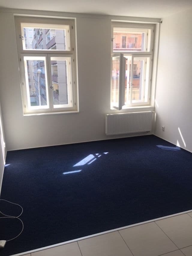 1 bedroom with open-plan kitchen flat to rent, 41 m², Bořivojova, Prague, Prague 1 bedroom with open-plan kitchen flat to rent, 41 m², Bořivojova, Prague, Prague