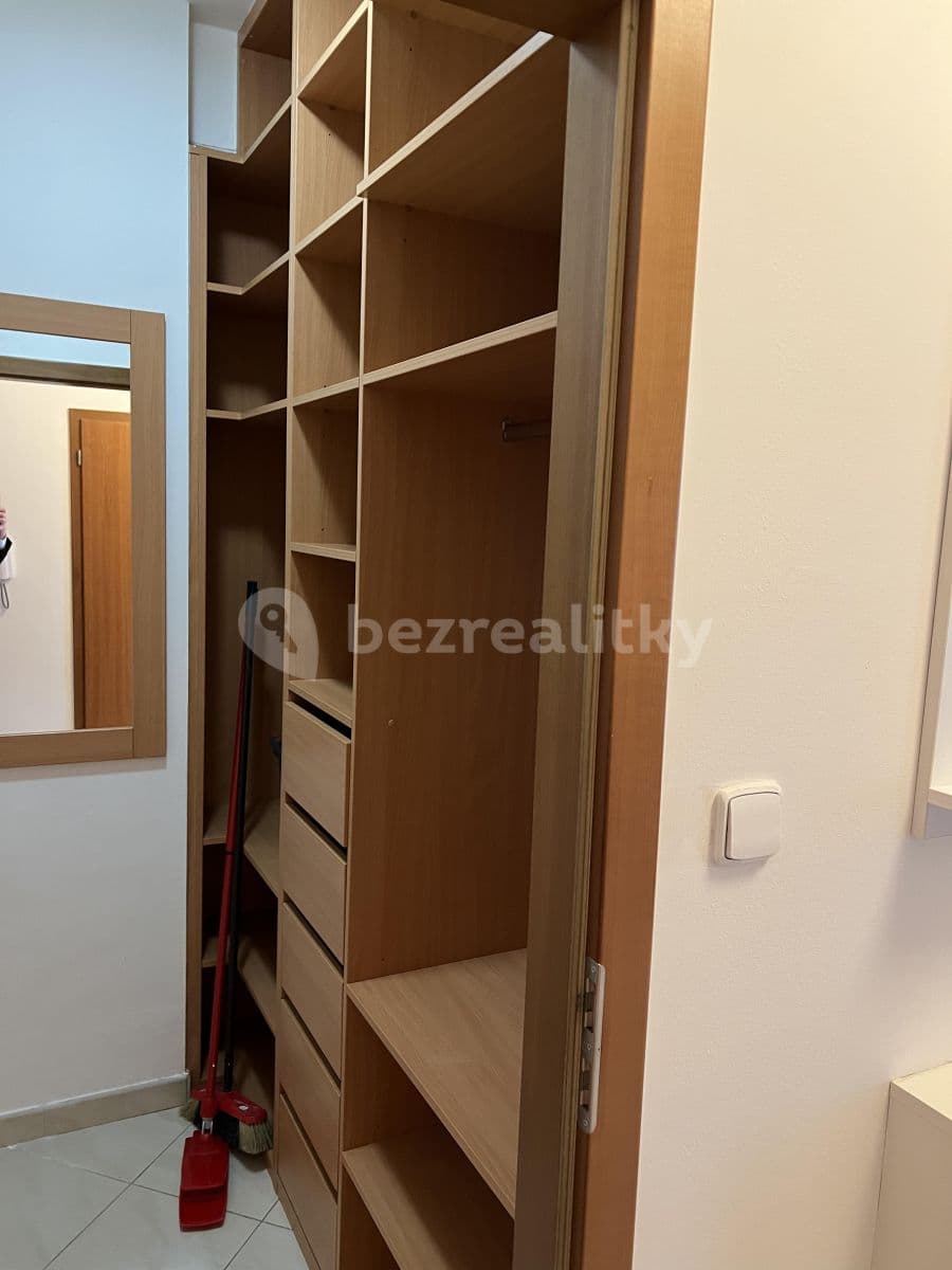 1 bedroom with open-plan kitchen flat to rent, 51 m², Pešlova, Prague, Prague 1 bedroom with open-plan kitchen flat to rent, 51 m², Pešlova, Prague, Prague