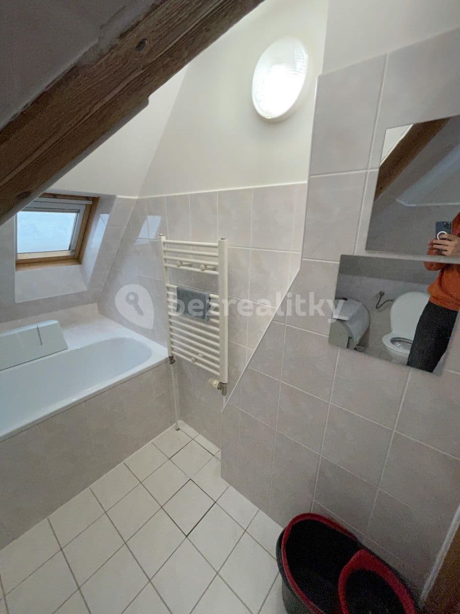1 bedroom flat to rent, 39 m², Prague, Prague