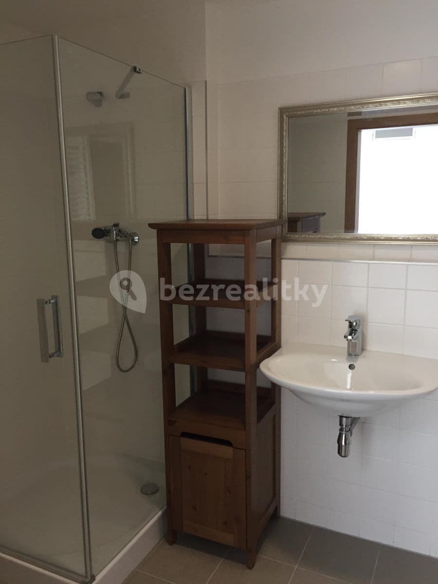 2 bedroom with open-plan kitchen flat to rent, 94 m², Pod dvorem, Prague, Prague 2 bedroom with open-plan kitchen flat to rent, 94 m², Pod dvorem, Prague, Prague