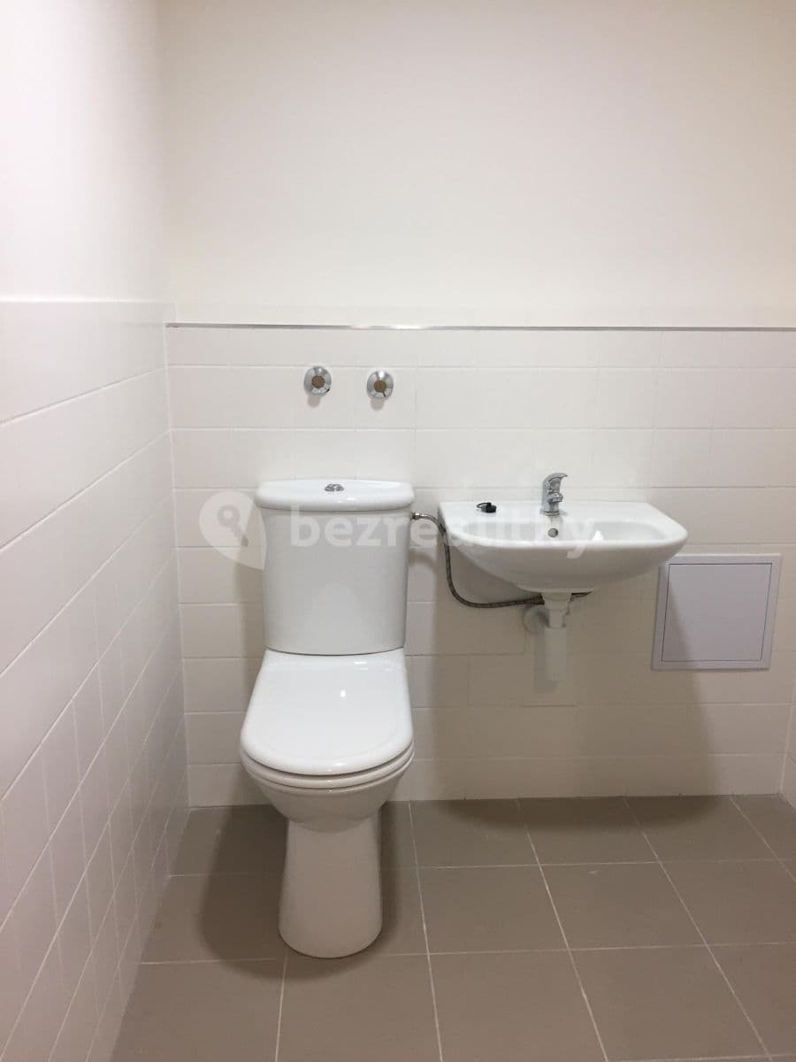 2 bedroom with open-plan kitchen flat to rent, 94 m², Pod dvorem, Prague, Prague 2 bedroom with open-plan kitchen flat to rent, 94 m², Pod dvorem, Prague, Prague