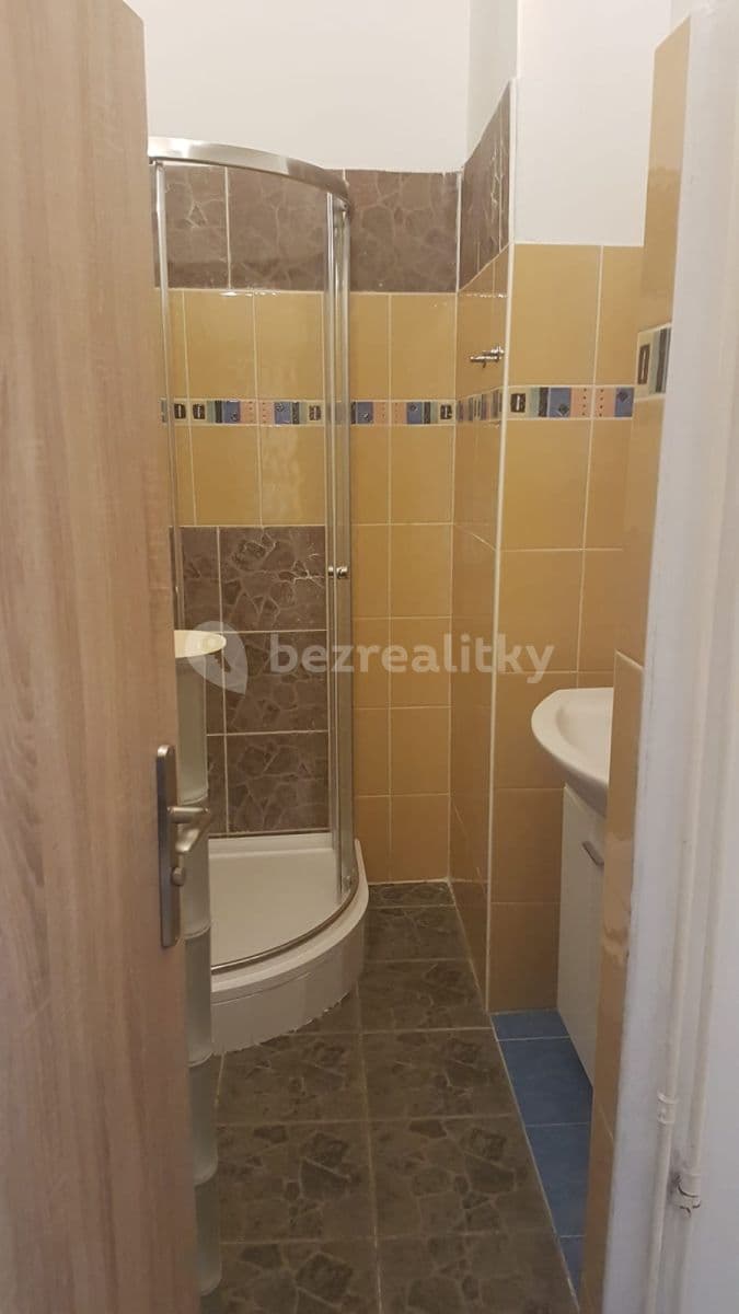 1 bedroom with open-plan kitchen flat to rent, 43 m², Holečkova, Prague, Prague 1 bedroom with open-plan kitchen flat to rent, 43 m², Holečkova, Prague, Prague
