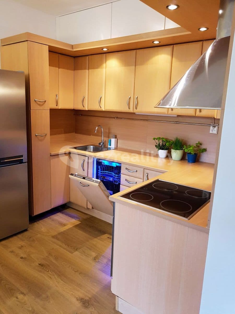 1 bedroom with open-plan kitchen flat to rent, 61 m², Štěpařská, Prague, Prague 1 bedroom with open-plan kitchen flat to rent, 61 m², Štěpařská, Prague, Prague