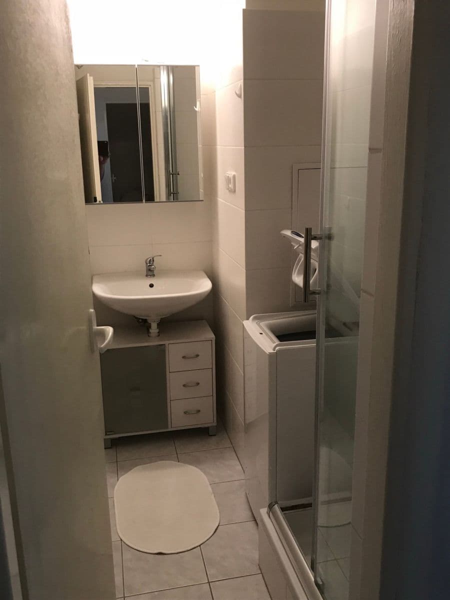 1 bedroom flat to rent, 35 m², Fričova, Prague, Prague 1 bedroom flat to rent, 35 m², Fričova, Prague, Prague