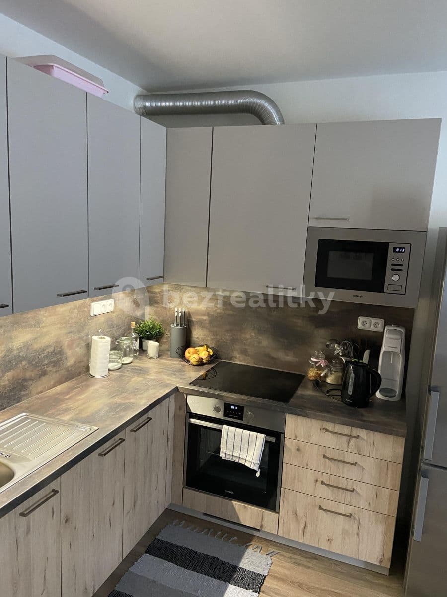 1 bedroom with open-plan kitchen flat to rent, 63 m², Přadlácká, Brno, Jihomoravský Region 1 bedroom with open-plan kitchen flat to rent, 63 m², Přadlácká, Brno, Jihomoravský Region