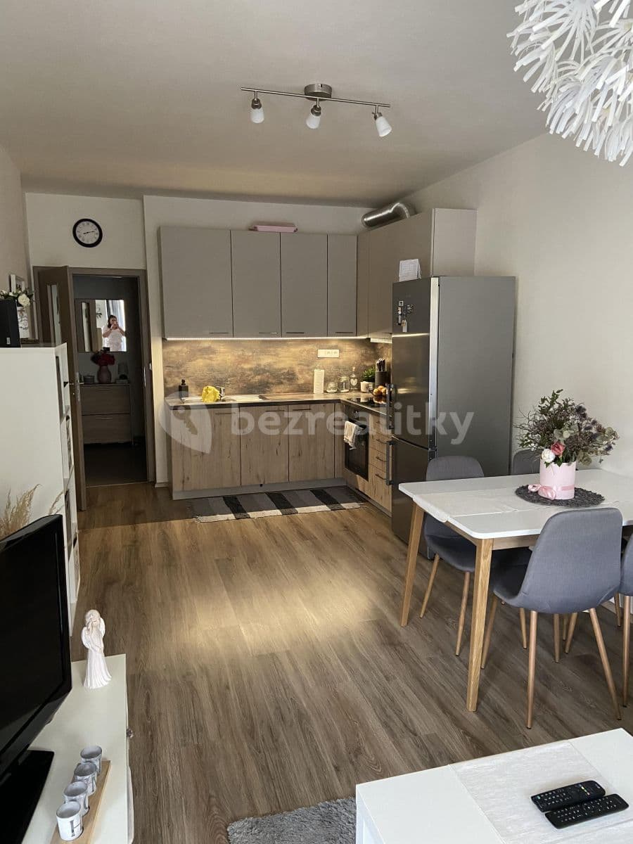 1 bedroom with open-plan kitchen flat to rent, 63 m², Přadlácká, Brno, Jihomoravský Region 1 bedroom with open-plan kitchen flat to rent, 63 m², Přadlácká, Brno, Jihomoravský Region